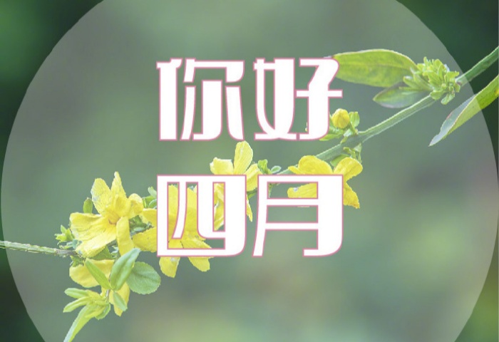 4 月裝修，錯(cuò)過等一年！青島業(yè)主必看的裝修黃金時(shí)機(jī)?